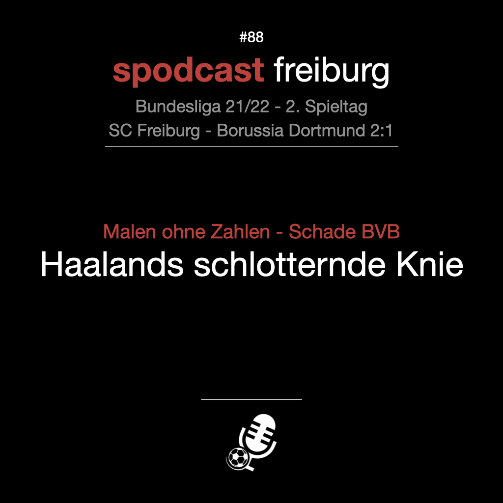 Malen ohne Zahlen - Schade BVB - Haalands schlotternde Knie episode artwork