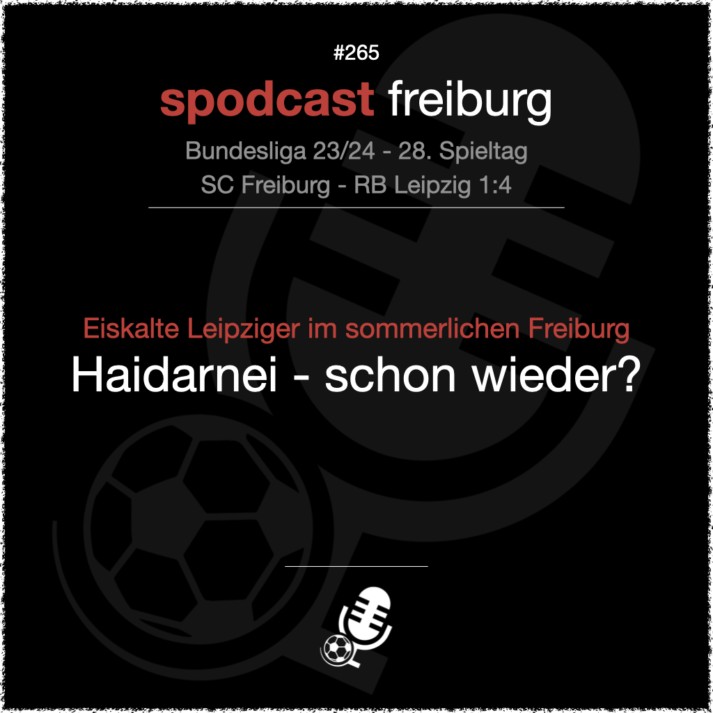 Eiskalte Leipziger im sommerlichen Freiburg. Haidarnei - schon wieder? episode artwork