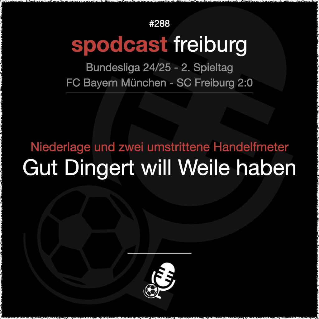 Niederlage und zwei umstrittene Handelfmeter - Gut Dingert will Weile haben episode artwork