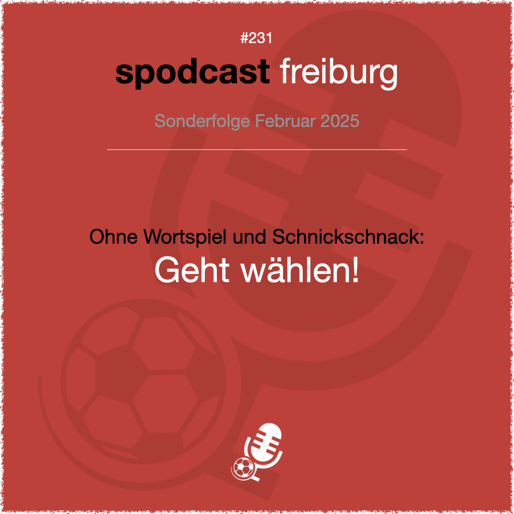 Ohne Wortspiel und Schnickschnack: Geht wählen! <3 episode artwork