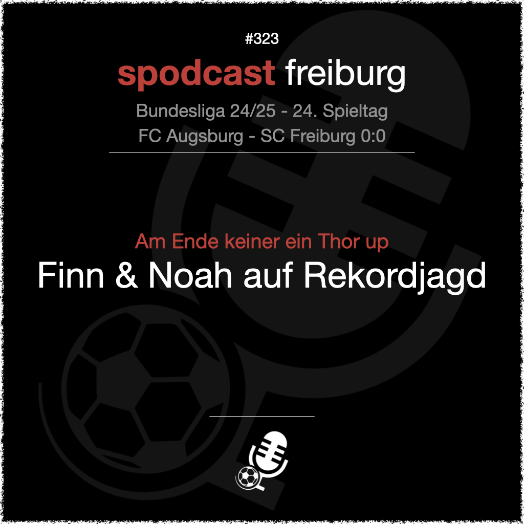 Am Ende keiner ein Thor up - Finn & Noah auf Rekordjagd episode artwork