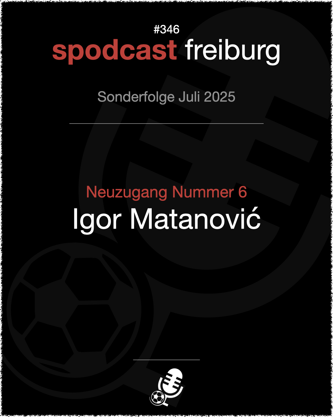 Neuzugang Nummer 6 - Igor Matanović episode artwork