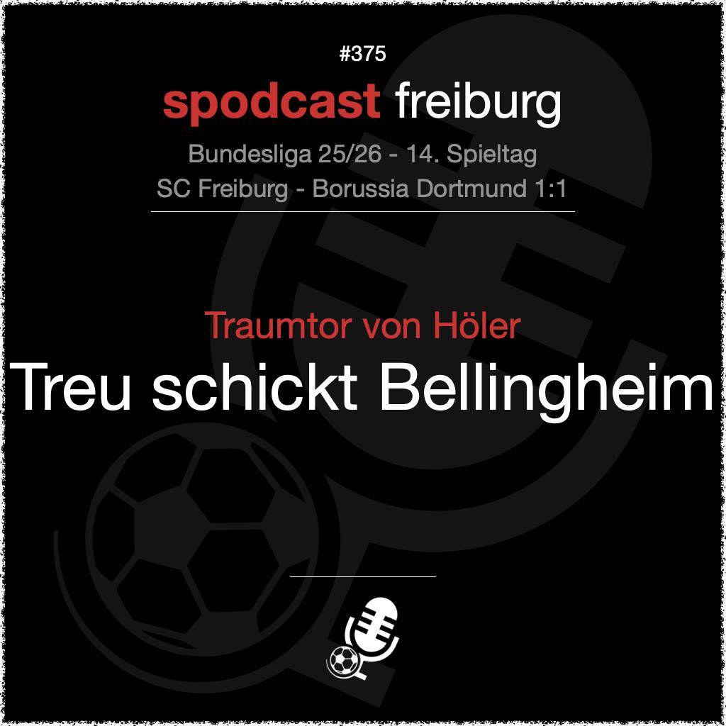 Traumtor von Höler - Treu schickt Bellingheim